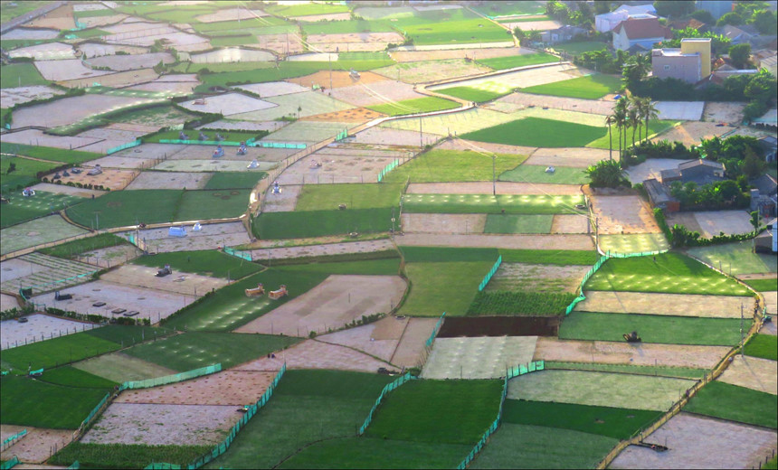 H&ograve;n[-]đảo[-]thi&ecirc;n[-]đường[-]L&yacute;[-]Sơn[-]